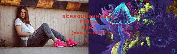 гидропоника Балабаново