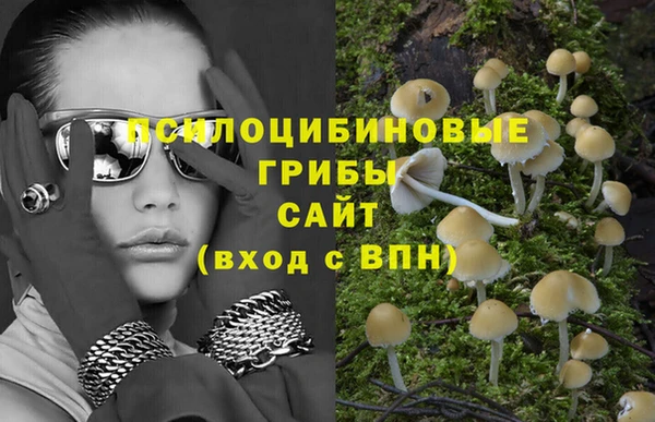 прущие крисы Балахна