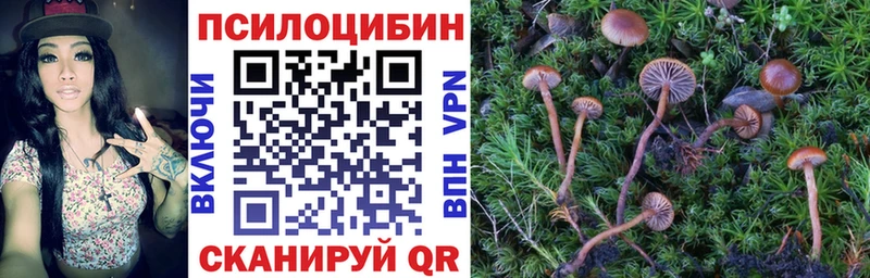 Галлюциногенные грибы MAGIC MUSHROOMS  что такое   Кунгур 
