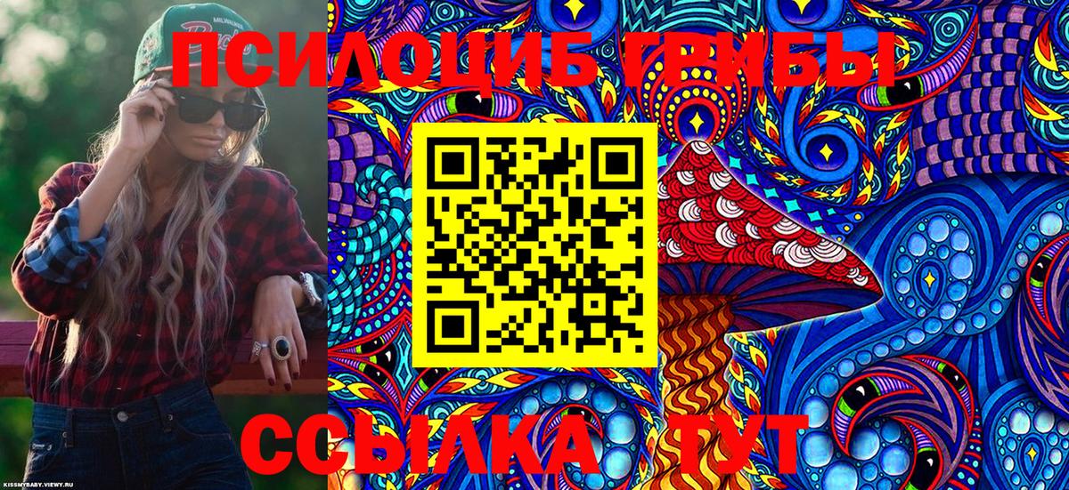 Псилоцибиновые грибы Psilocybe Кунгур